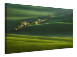 canvas-print-moravian-fields-xio