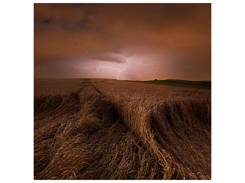 canvas-print-morning-storm