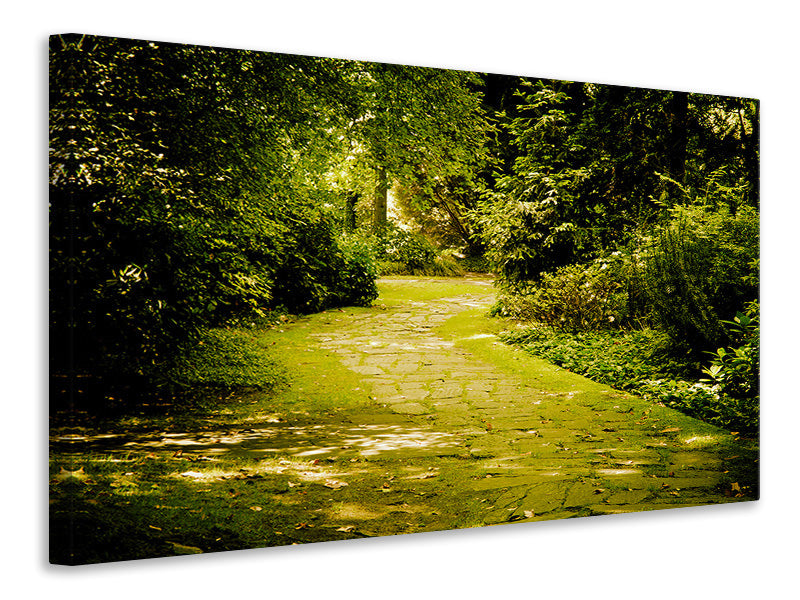 canvas-print-moss-covered-path