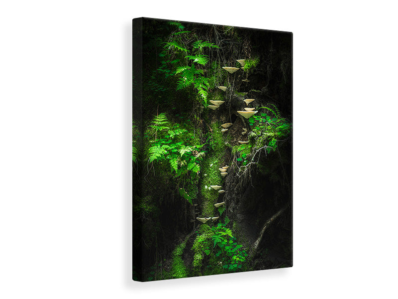 canvas-print-mushroom-wall