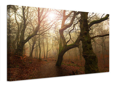 canvas-print-my-autumn-walk-x