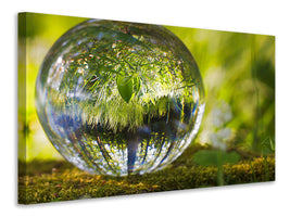 canvas-print-nature-ball