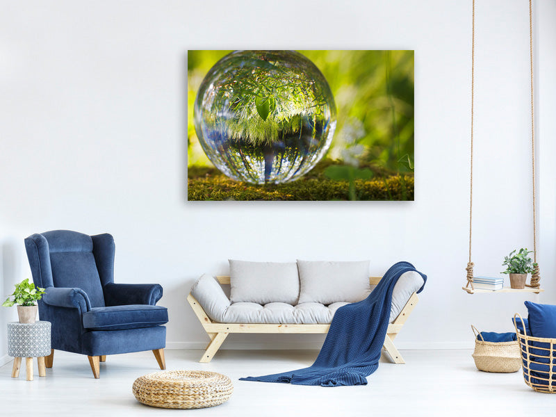 canvas-print-nature-ball