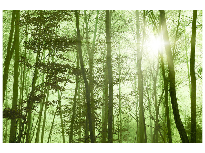 canvas-print-nibelungen-forest