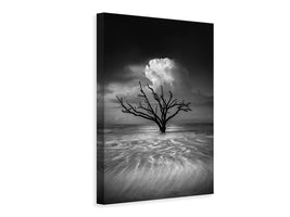 canvas-print-oceanus-x