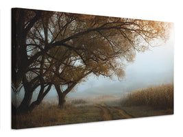 canvas-print-october-morning-x