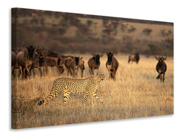 canvas-print-on-the-hunt