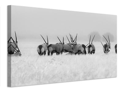 canvas-print-oryx-in-the-rain-x