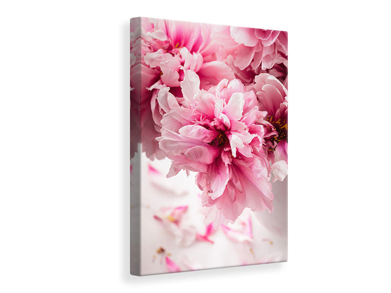 canvas-print-peonies