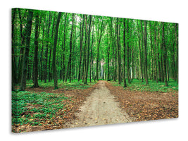 canvas-print-pine-forests