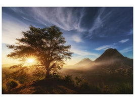 canvas-print-pinggan-tree-x