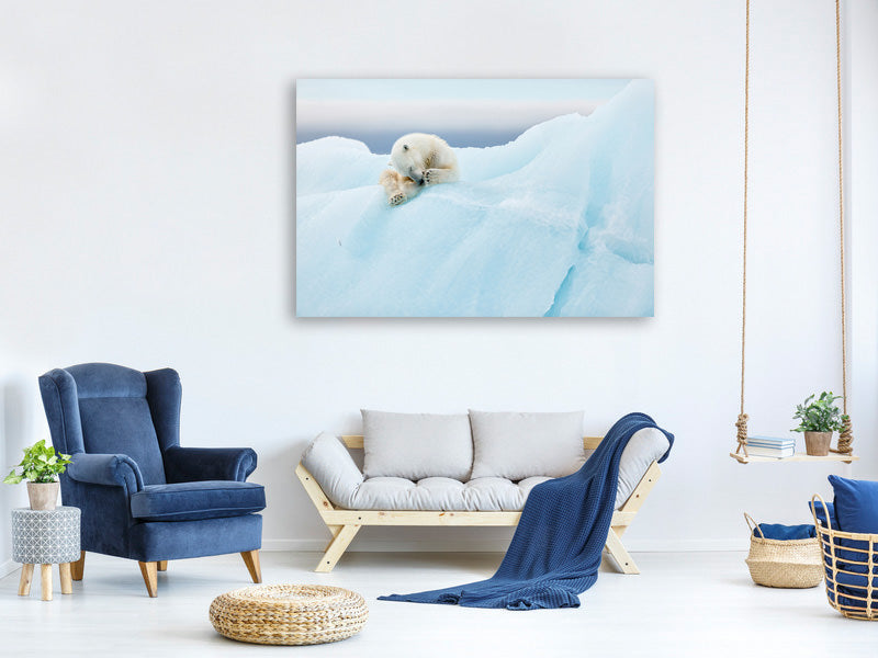 canvas-print-polar-bear-grooming