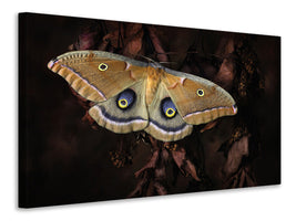 canvas-print-polyphemus