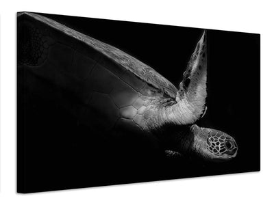 canvas-print-portrait-of-a-sea-turtle-in-black-and-white-ii-x