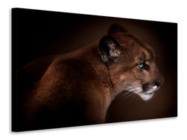 canvas-print-puma