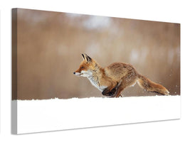 canvas-print-red-fox-xmv