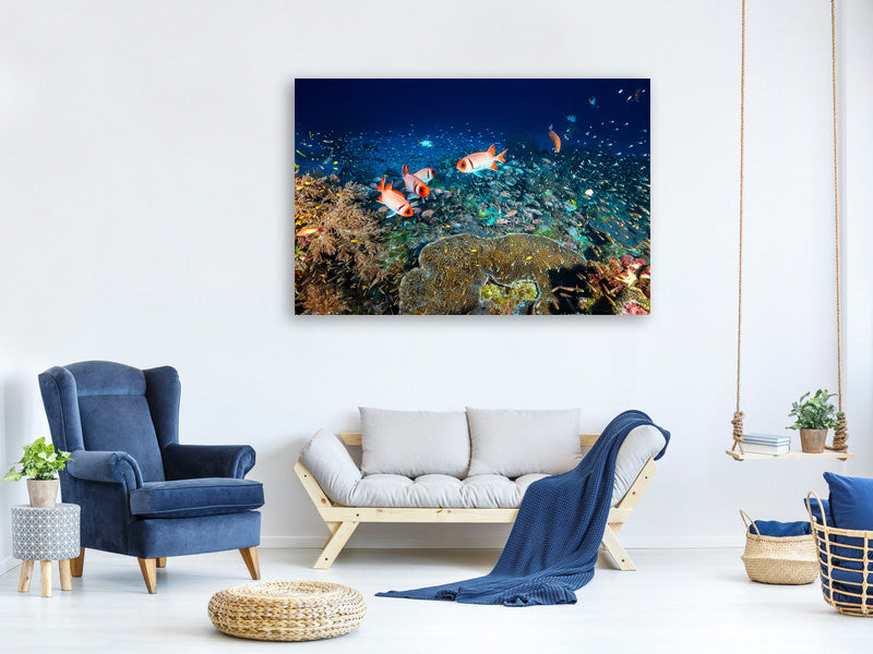 canvas-print-reef-lifeii