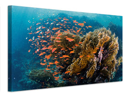 canvas-print-reefscape-x