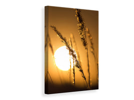 canvas-print-romantic-sunset