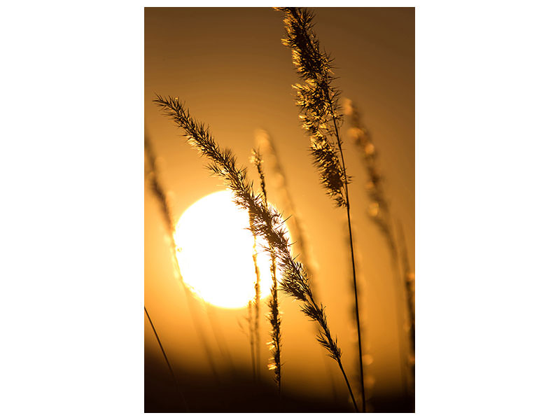 canvas-print-romantic-sunset