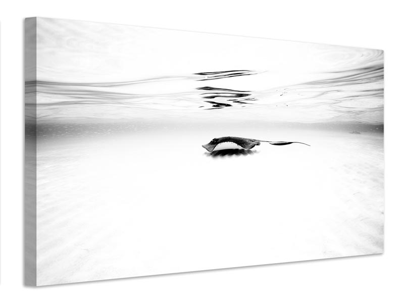 canvas-print-sandbar-series-i-x