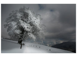 canvas-print-schneeweg-x