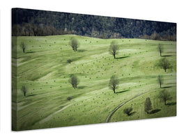 canvas-print-sheeps-x