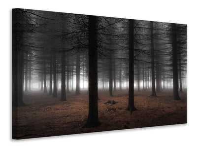 canvas-print-silence-ii