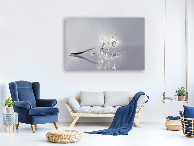 canvas-print-silver-x