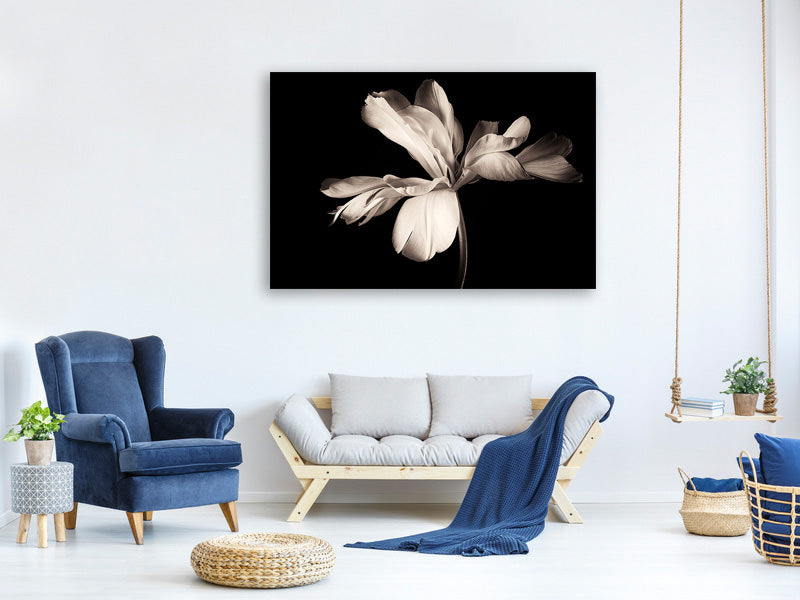 canvas-print-simplicity