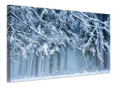 canvas-print-snowworld-x