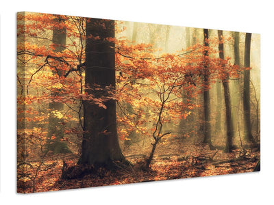 canvas-print-soft-fall-x