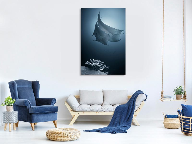 canvas-print-sonata-x