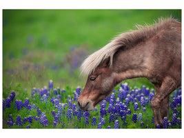 canvas-print-spring-is-in-the-air