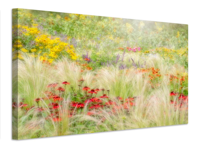 canvas-print-summer-reverie-x