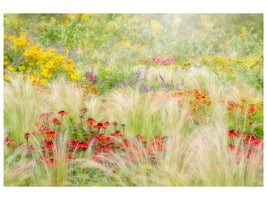 canvas-print-summer-reverie-x