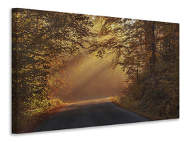 canvas-print-sunbeams-in-the-forest