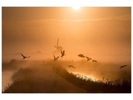 canvas-print-sunrise-flight-x