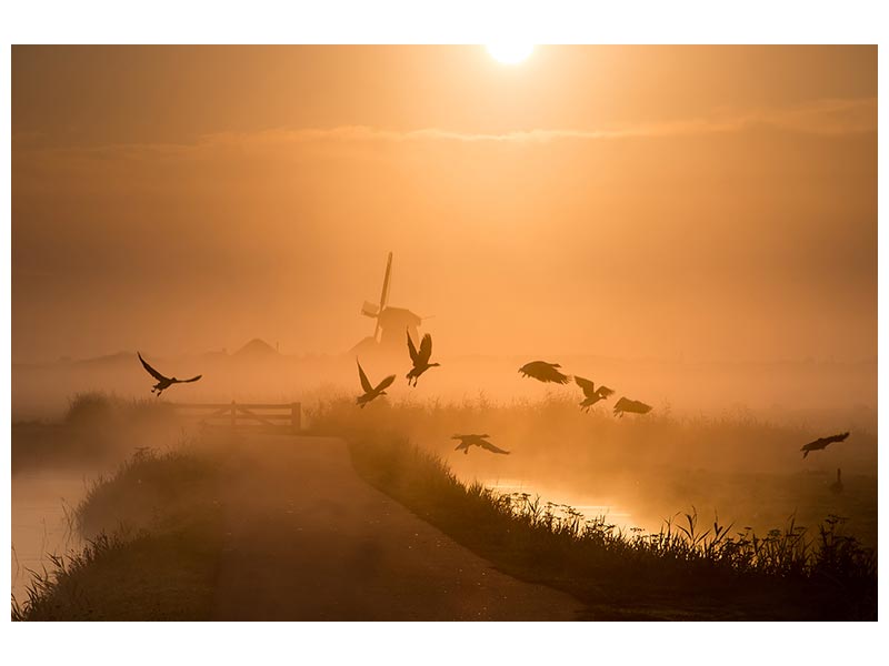 canvas-print-sunrise-flight-x