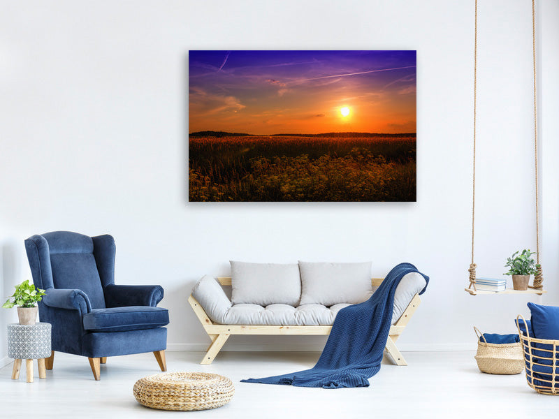 canvas-print-sunset-at-the-flower-field