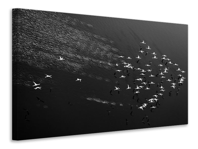 canvas-print-take-off