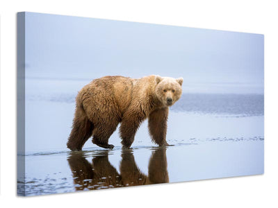 canvas-print-the-bear-walk-x