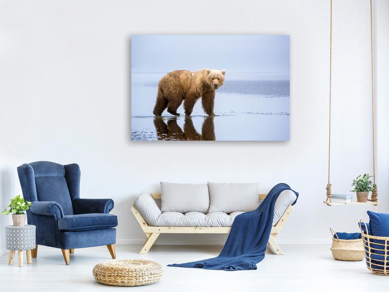 canvas-print-the-bear-walk-x