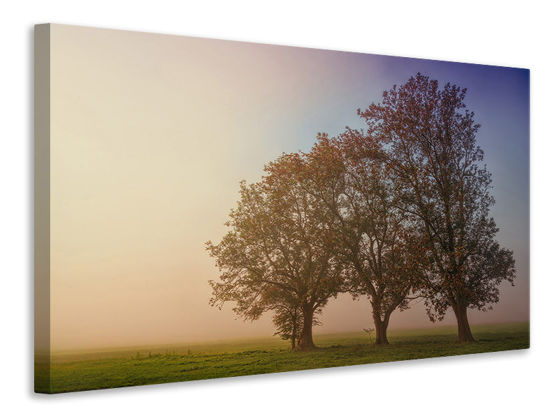 canvas-print-the-crooked-tree