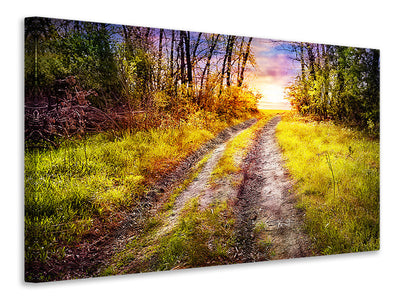 canvas-print-the-forest-path