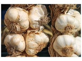 canvas-print-the-garlic-xl