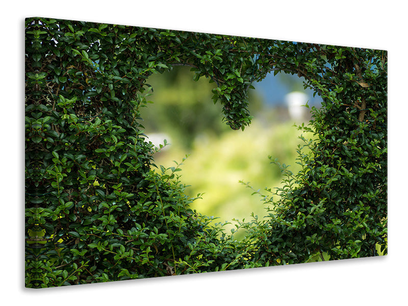 canvas-print-the-heart-in-the-hedge