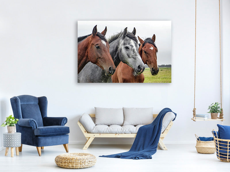 canvas-print-the-horse-trio