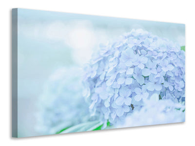 canvas-print-the-hydrangea