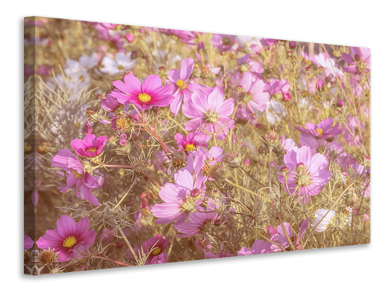 canvas-print-the-jewelry-basket-cosmea